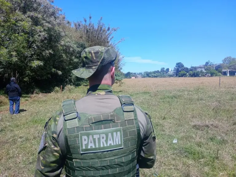 Possível avistamento de onça-parda mobiliza equipes no Noroeste do RS - Studio TV