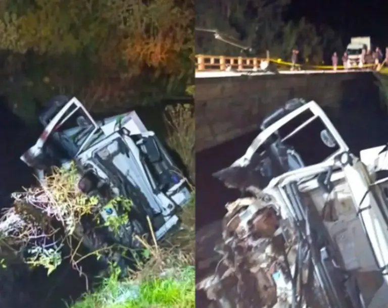 Preso às ferragens e sangrando após cair de ponte, motorista vê populares tentarem saquear carga de caminhão - Studio TV