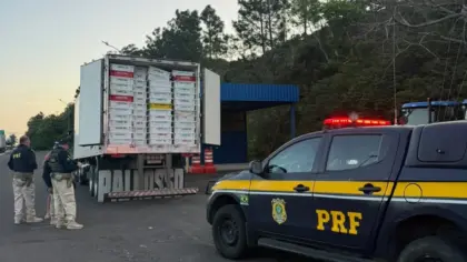 PRF apreende 18,8 toneladas de pescado transportado irregularmente na BR-101 em Osório - Studio TV