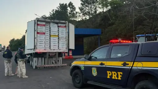 PRF apreende 18,8 toneladas de pescado transportado irregularmente na BR-101 em Osório - Studio TV