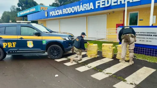 PRF apreende 207 quilos de maconha e prende quatro pessoas em Passo Fundo - Studio TV