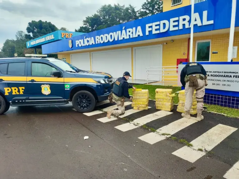 PRF apreende 207 quilos de maconha e prende quatro pessoas em Passo Fundo - Studio TV