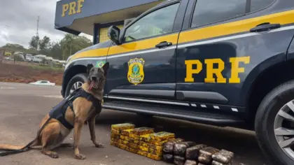 PRF apreende 35 quilos de cocaína e haxixe escondidos em escapamento de caminhão - Studio TV