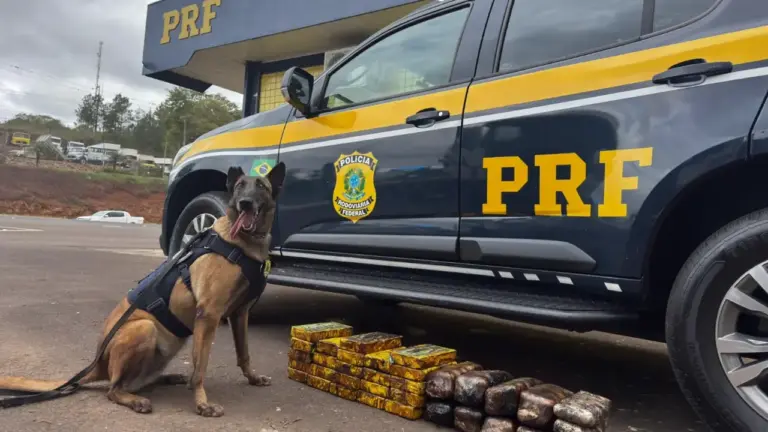 PRF apreende 35 quilos de cocaína e haxixe escondidos em escapamento de caminhão - Studio TV