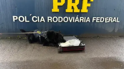 PRF apreende mais de 3 quilos de cocaína com ajuda de cães farejadores em Eldorado do Sul - Studio TV