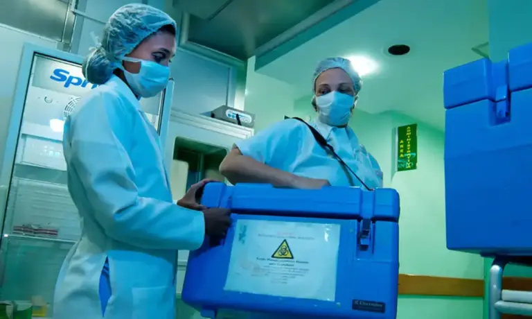 Recusa familiar para doação de órgãos chega a 45% no Brasil - Studio TV