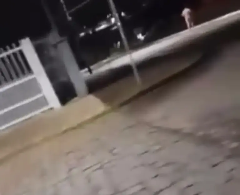 Suspeito é preso após tentativa de abuso contra menina em Lajeado - Studio TV