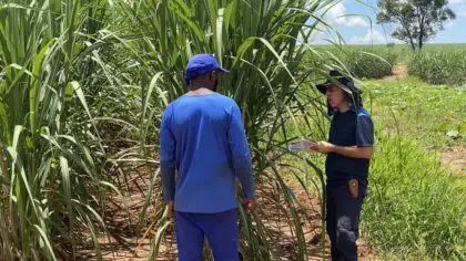 Uso excessivo de telas aumenta risco de olho seco em crianças e adolescentes - Studio TV