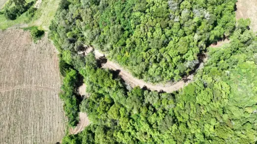 Abertura de estrada provoca desmatamento e área é embargada em Barros Cassal - Studio TV