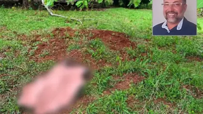 Advogado de 56 anos morre após ser pisoteado por boi durante manejo em fazenda - Studio TV