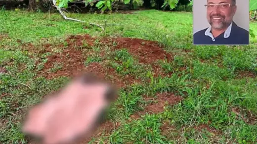 Advogado de 56 anos morre após ser pisoteado por boi durante manejo em fazenda - Studio TV