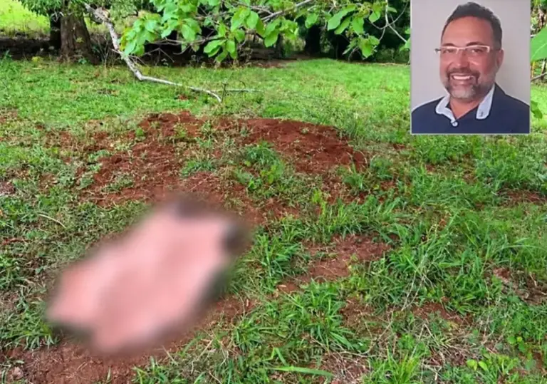 Advogado de 56 anos morre após ser pisoteado por boi durante manejo em fazenda - Studio TV
