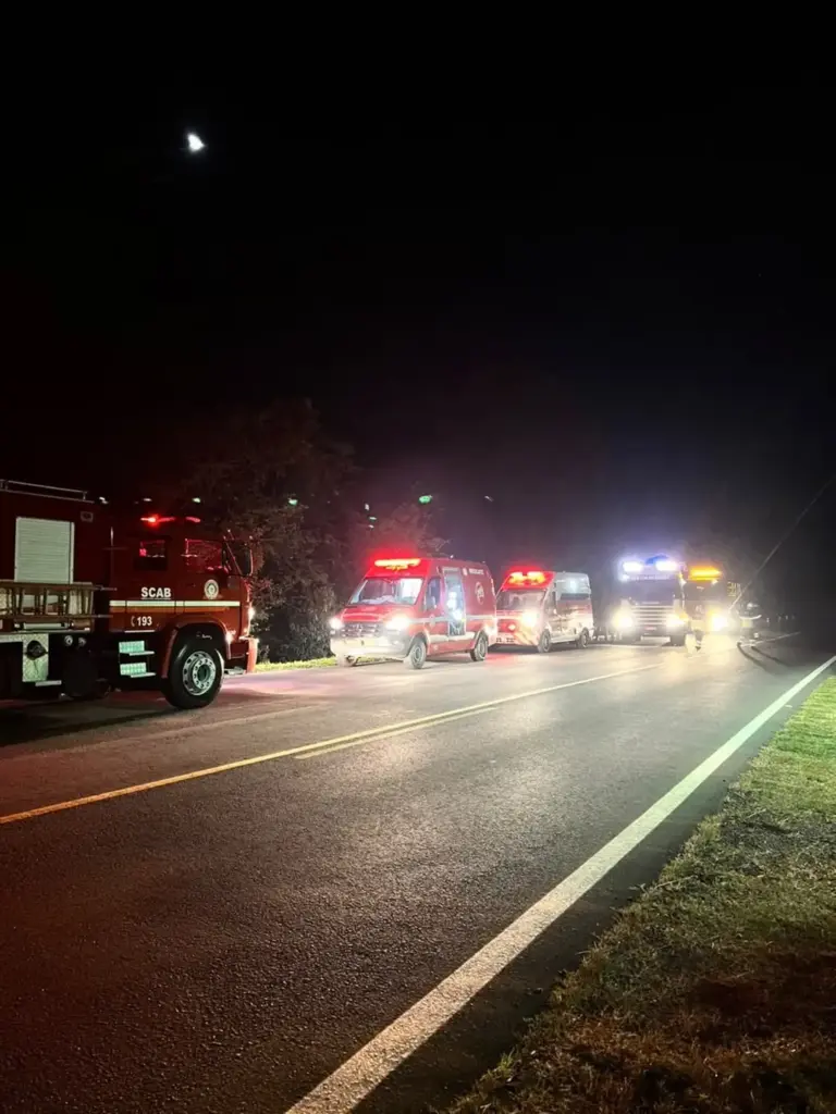 Bombeiros resgatam cavalo preso em reboque após capotamento na ERS-122, em Antônio Prado - Studio TV
