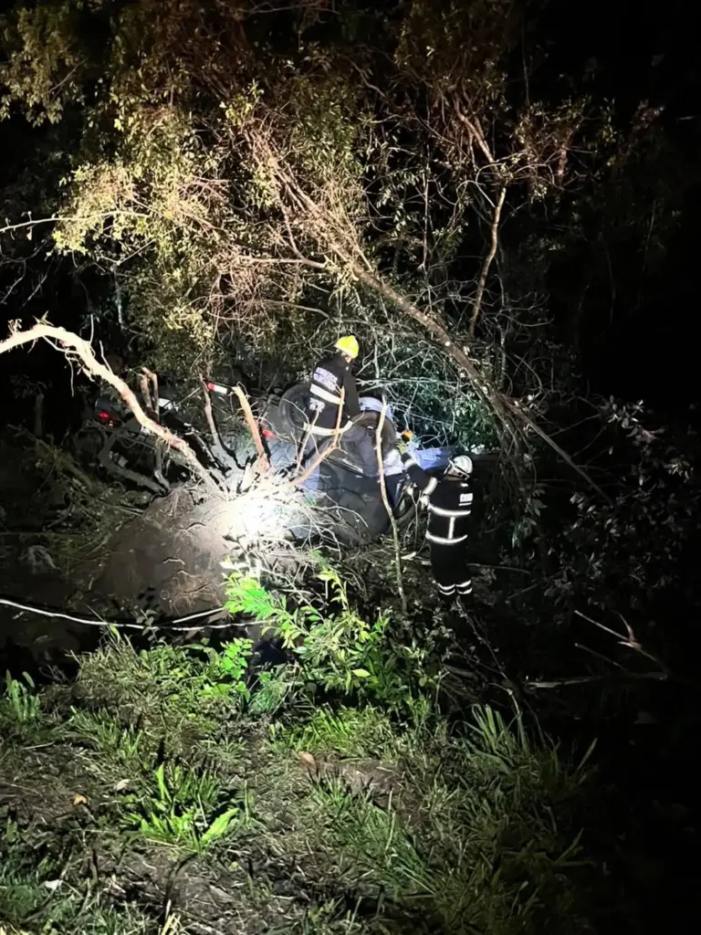 Bombeiros resgatam cavalo preso em reboque após capotamento na ERS-122, em Antônio Prado - Studio TV