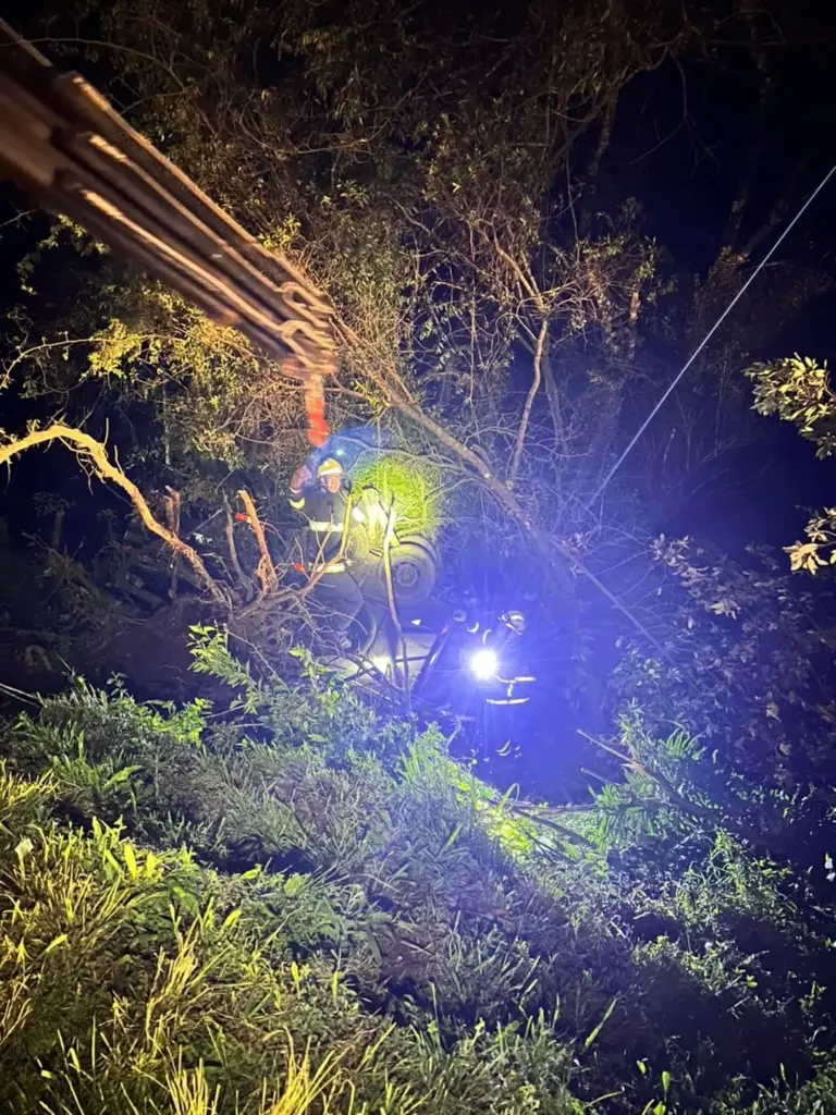Bombeiros resgatam cavalo preso em reboque após capotamento na ERS-122, em Antônio Prado - Studio TV
