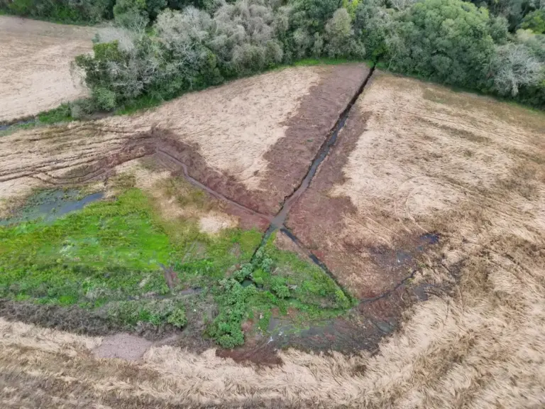 Brigada Militar constata supressão de vegetação nativa e intervenção em nascente no interior de Marau - Studio TV