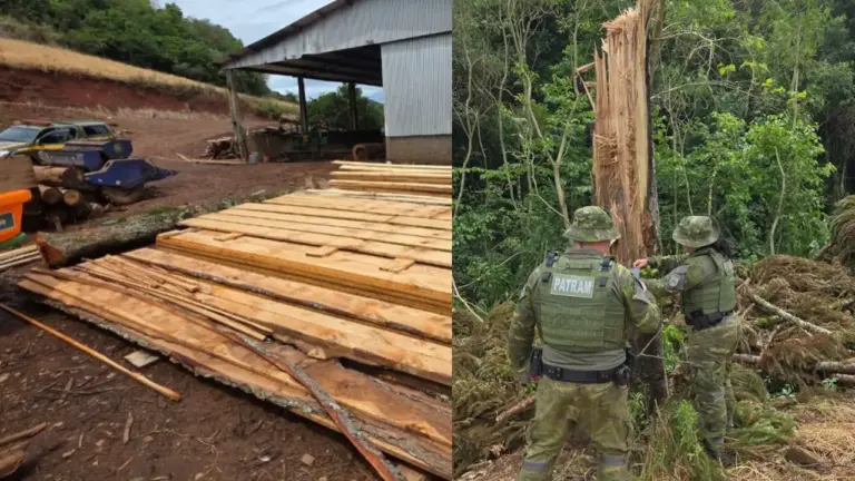 Brigada Militar flagra crimes ambientais e apreende serraria móvel no Norte do RS - Studio TV