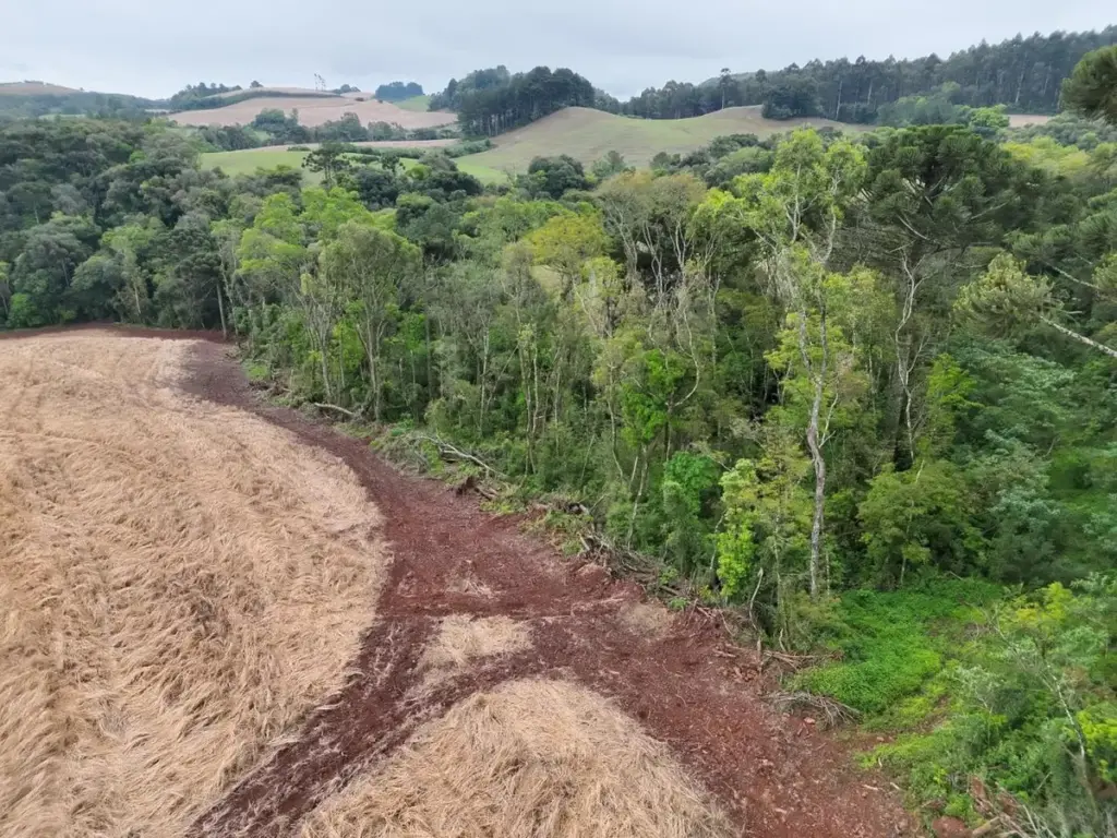 Vista aérea da área fiscalizada em Ciríaco