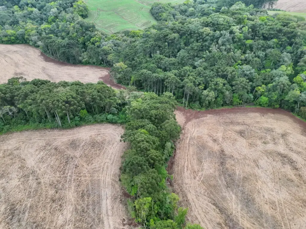 Registro aéreo da vegetação e dos limites da lavoura em Ciríaco