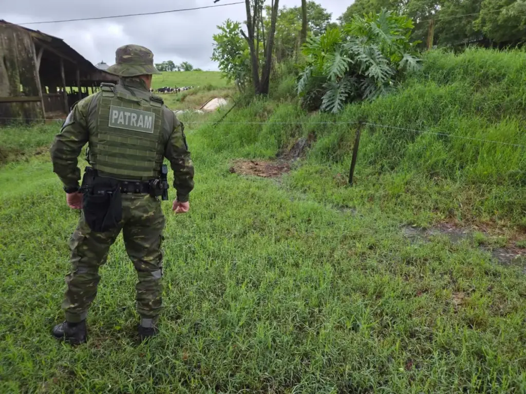 Brigada Militar flagra vazamento de dejetos suínos que atinge curso d'água no RS - Studio TV