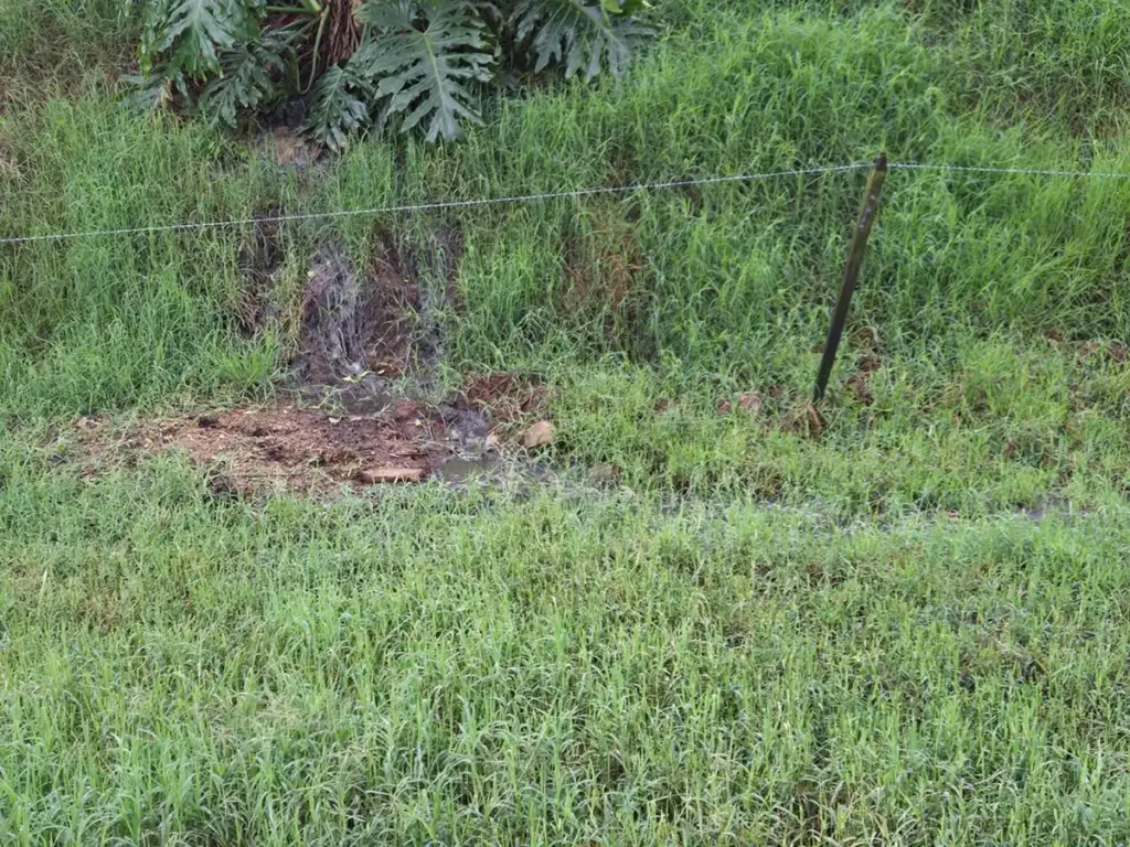 Brigada Militar flagra vazamento de dejetos suínos que atinge curso d'água no RS - Studio TV