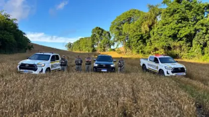 Brigada Militar prende dois homens e recupera caminhonete furtada em Passo Fundo - Studio TV