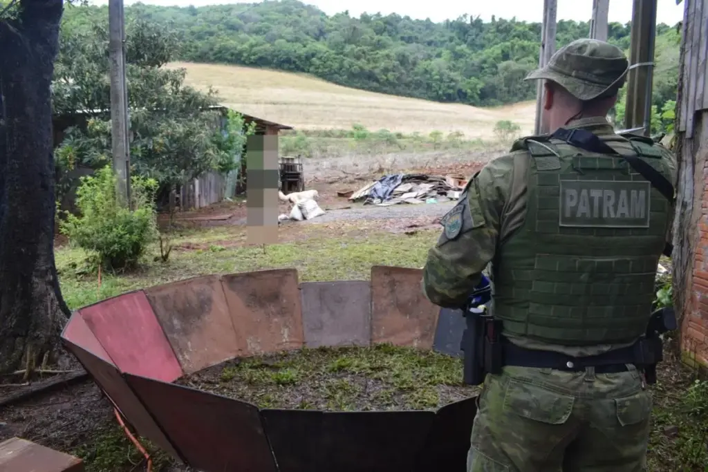 Brigada Militar resgata 26 galos vítimas de maus-tratos e descobre arena de rinhas no Norte do RS - Studio TV