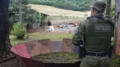 Brigada Militar resgata 26 galos vítimas de maus-tratos e descobre arena de rinhas no Norte do RS - Studio TV