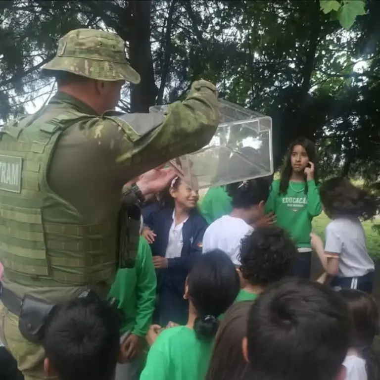 Brigada Militar resgata cobra-espada em escola na área rural de Passo Fundo - Studio TV