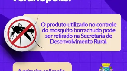 BTI para controle do borrachudo já pode ser retirado em Veranópolis - Studio TV