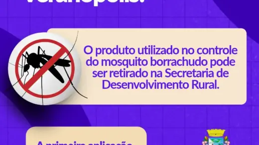 BTI para controle do borrachudo já pode ser retirado em Veranópolis - Studio TV