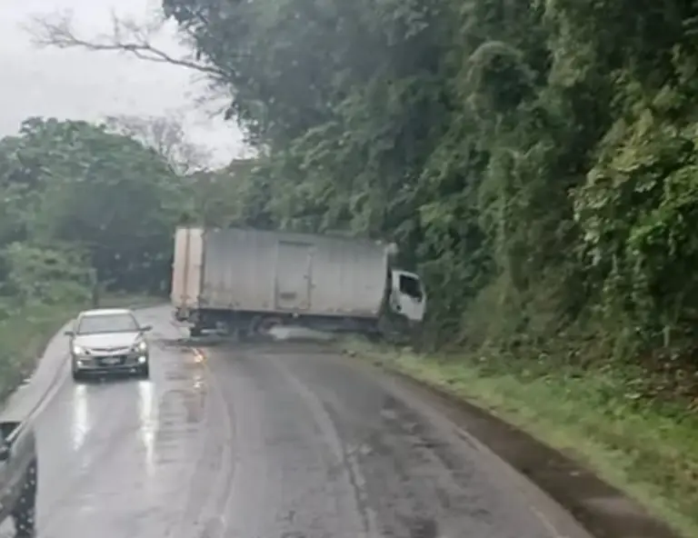 Caminhão sai da pista e atinge árvores na ERS-324 entre Vila Maria e Casca - Studio TV