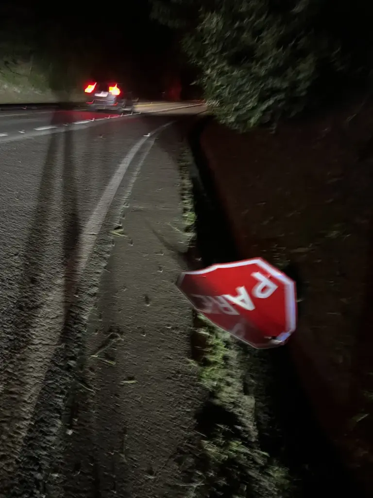 Caminhonete sai da pista e desce barranco de três metros na ERS-122, em Ipê - Studio TV