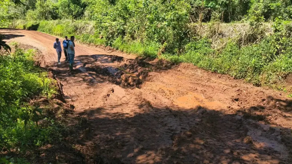 Desvio entre São Caetano e ERS-437 passa por manutenção em Vila Flores após danos causados pelas chuvas - Studio TV