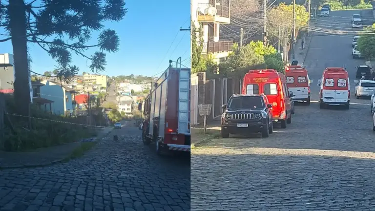 Duas pessoas ficam feridas após ataque de abelhas em Caxias do Sul - Studio TV
