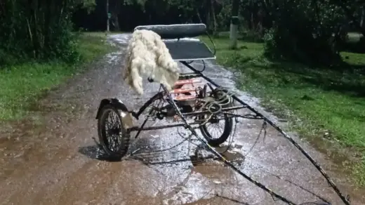 Dupla usa charrete para furtar cavalo e materiais de parque no Litoral Norte do RS - Studio TV