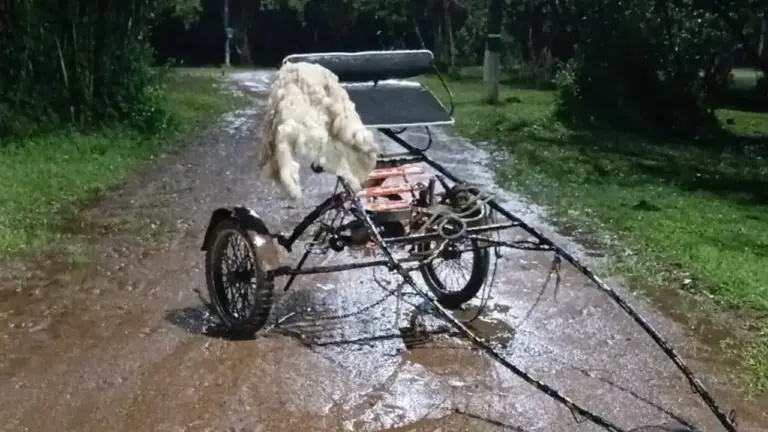 Dupla usa charrete para furtar cavalo e materiais de parque no Litoral Norte do RS - Studio TV