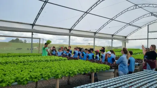 Estudantes de Veranópolis conhecem produção de alimentos durante visita a propriedade rural - Studio TV