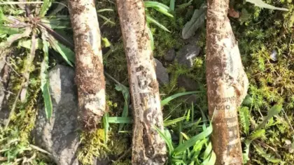 Explosivos encontrados durante obra de rede de água interrompem trabalhos em Caxias do Sul - Studio TV