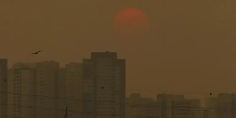 Gases de efeito estufa atingem concentrações recordes, aponta relatório da OMM - Studio TV
