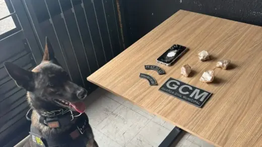 Guarda Civil Municipal prende homem e apreende mais de 200 gramas de crack em Bento Gonçalves - Studio TV