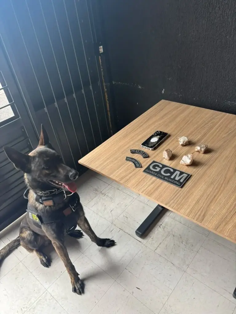 Guarda Civil Municipal prende homem e apreende mais de 200 gramas de crack em Bento Gonçalves - Studio TV
