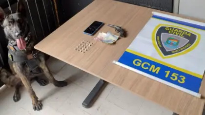 Guarda Civil Municipal prende homem por tráfico de drogas em Bento Gonçalves - Studio TV