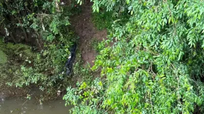 Homem é encontrado morto com marcas de tiros às margens da BR-153, em Passo Fundo - Studio TV