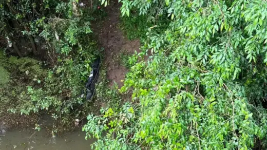Homem é encontrado morto com marcas de tiros às margens da BR-153, em Passo Fundo - Studio TV
