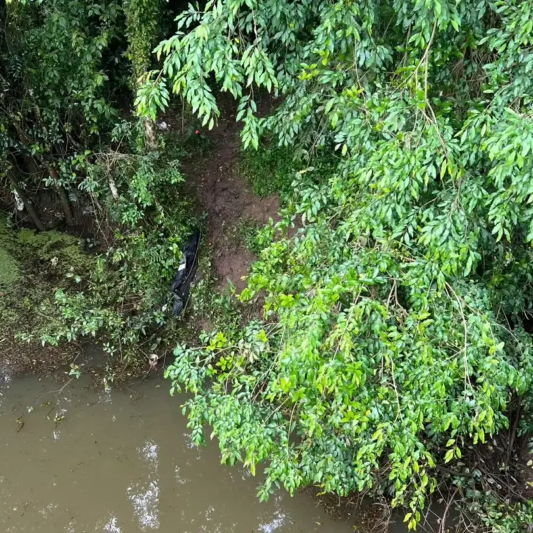 Homem é encontrado morto com marcas de tiros às margens da BR-153, em Passo Fundo - Studio TV