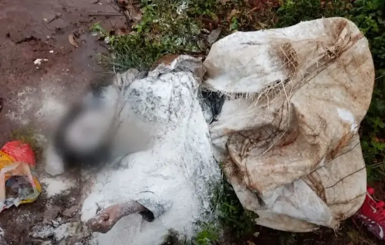 Homem é preso após agredir companheira e abandoná-la dentro de saco de cal - Studio TV