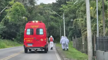 Homem é socorrido após ataque de abelhas no interior de Bento Gonçalves - Studio TV