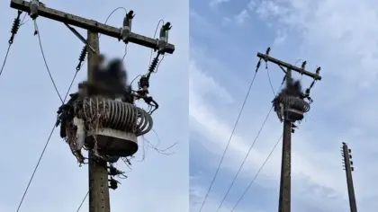 Homem morre eletrocutado ao subir em transformador durante suspeita de furto de fios em Santa Catarina - Studio TV