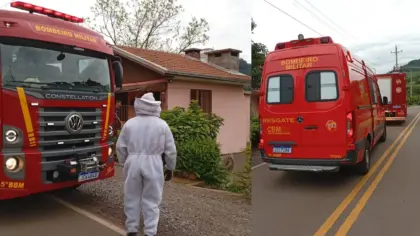 Idosa sofre mais de dez picadas após ataque de abelhas no interior de Bento Gonçalves - Studio TV